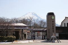 荂